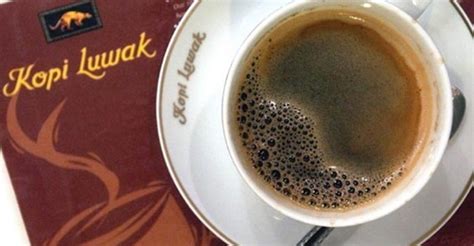 The Disturbing Secret Behind the World’s Most Expensive Coffee.